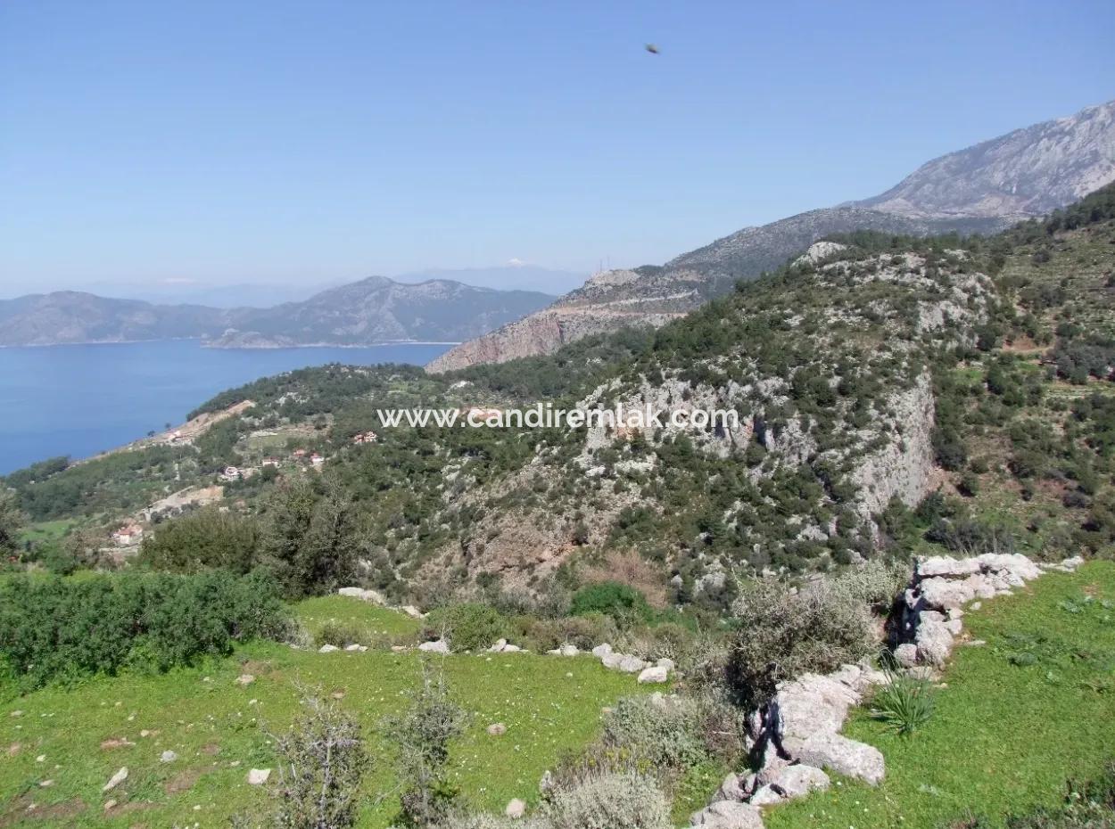 Für Den Verkauf In Faralya Faralya Mit Meerblick Und 11,286M2 Grundstück Zum Verkauf Tourismus