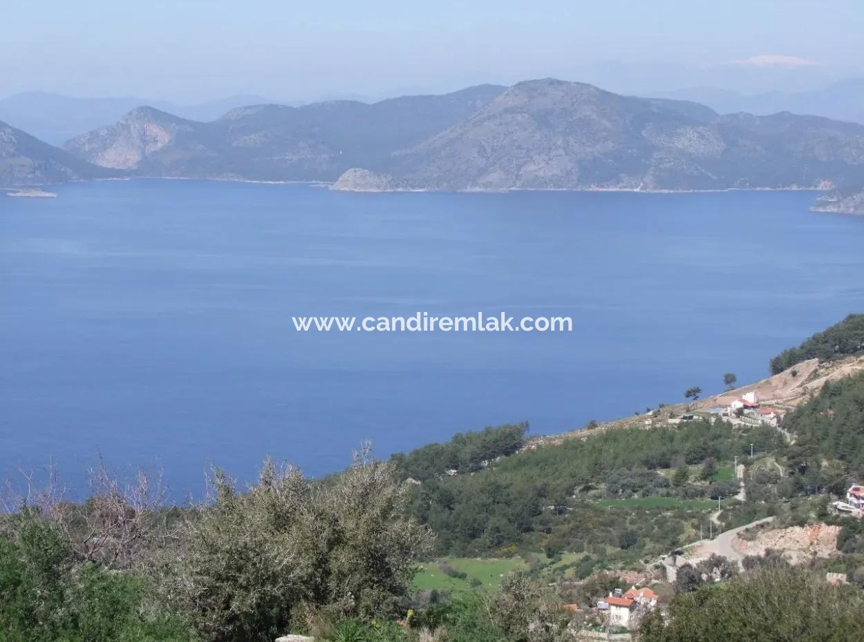 Land Zum Verkauf In Faralya Mit Vollem Meerblick Zum Verkauf