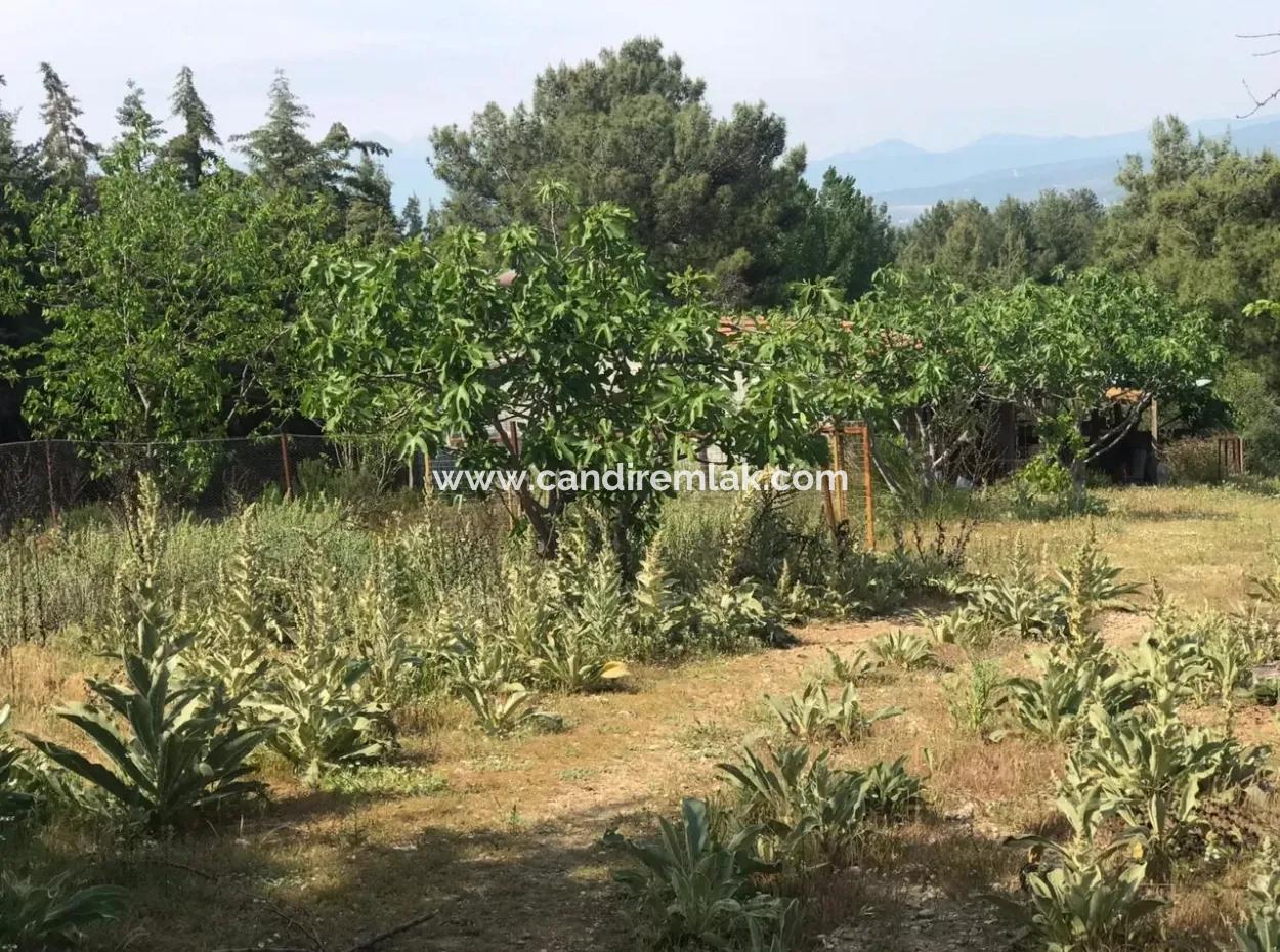 Ackerland Zum Verkauf In Seydikemer Korubuku 76000M2