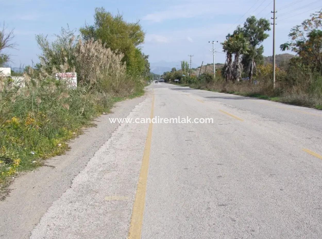 Grundstück Zu Verkaufen In Guzelyurt Land Zu Verkaufen Null 5515M2 Land Zum Verkauf An Der Hauptstraße