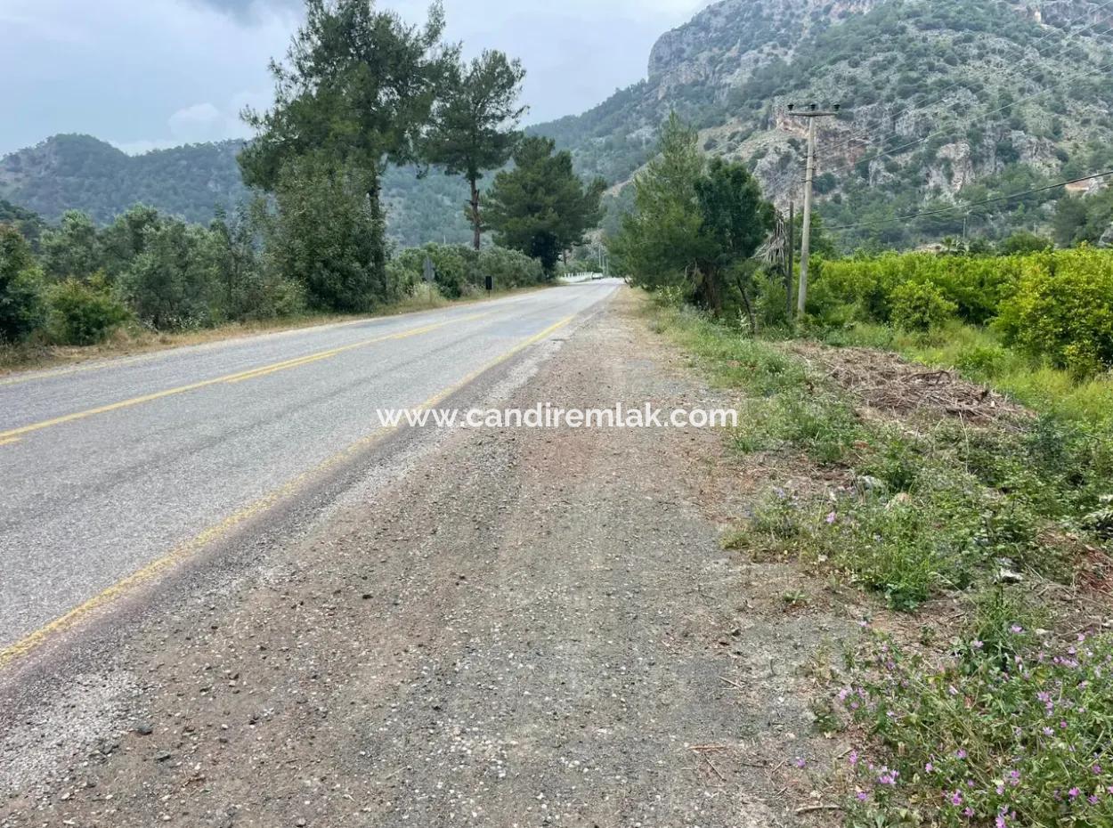 7800M2 Grundstück Zum Verkauf Am Anfang Der Strandstraße Iztuzu In Gökbel