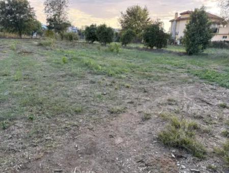 7.450M2 Land Zum Verkauf In Der Nähe Des Zentrums Von Dalyan