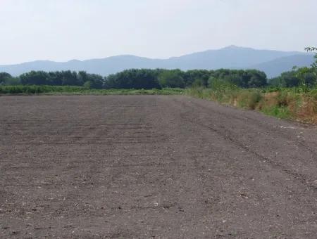 Bauernhof Zum Verkauf In Dalyan Eskikoy Eskikoy Oriya 14,900M2 Grundstück Zu Verkaufen Feld