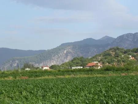 Bauernhof Zum Verkauf In Der Nähe Des Zentrums Von Dalyan,14, 612M2 Bauernhof Zum Verkauf