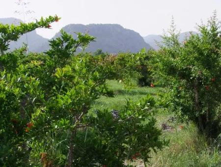 Merkez Dalyan Iztuzu See-Garten-Villa Zum Verkauf