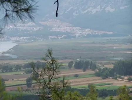 Gökçe Gökçe 21671M2 Bauernhof Zum Verkauf Zum Verkauf