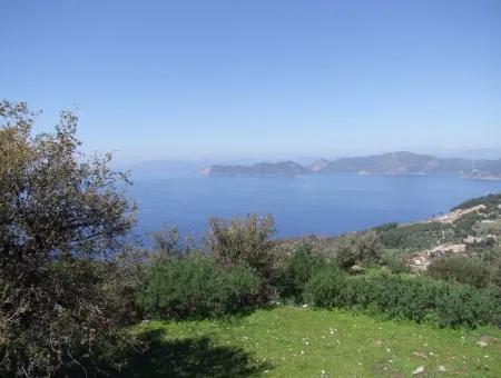 Land Zum Verkauf In Faralya Mit Vollem Meerblick Zum Verkauf