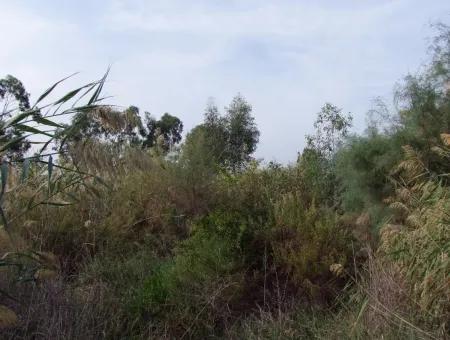 Grundstück Zum Verkauf In Dalyan Zum Verkauf In Dalyan-Kanal Null