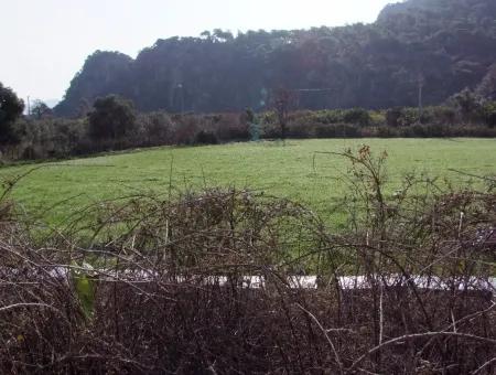 Zum Verkauf In Koycegiz, Dalyan Grundstück Zum Verkauf 10629M2