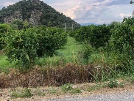 722M2 Grundstück Zum Verkauf In Dalyan Gülpınar Zum Verkauf