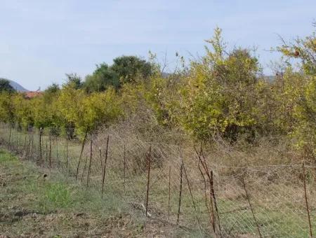 Güzelyurt Land Zu Verkaufen Dorf Gebaut 6670M2 Land Zum Verkauf