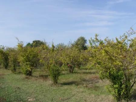 Güzelyurt Land Zu Verkaufen Dorf Gebaut 6670M2 Land Zum Verkauf