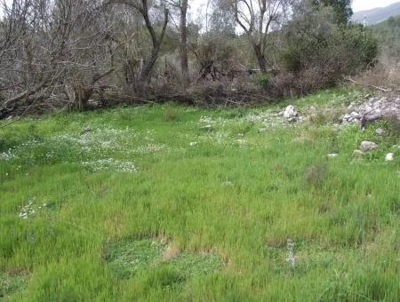 In Incirkoy Uzumlu Fethiye Grundstück Für Verkauf Bauernhof Zum Verkauf In Incirkoy