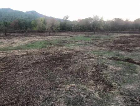 Sultaniye Land For Sale Near 10577M2 Lake Land For Sale