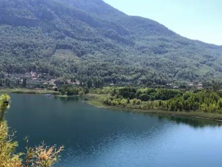 Sultaniye Land For Sale Near 10577M2 Lake Land For Sale