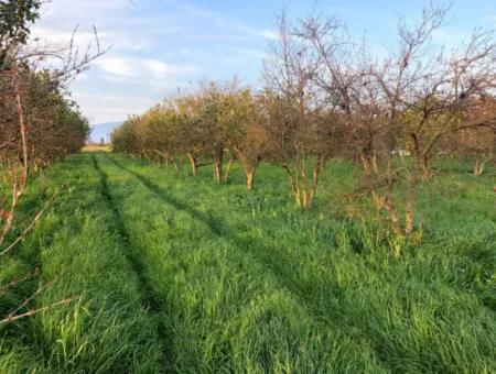 Bogenschützen Grundstück Zu Verkaufen 4707M2 Land Zu Verkaufen