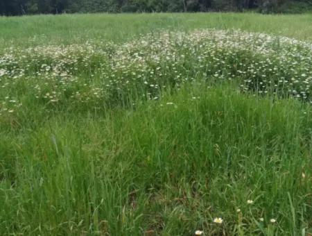 Grundstücke Zu Verkaufen In Amlida