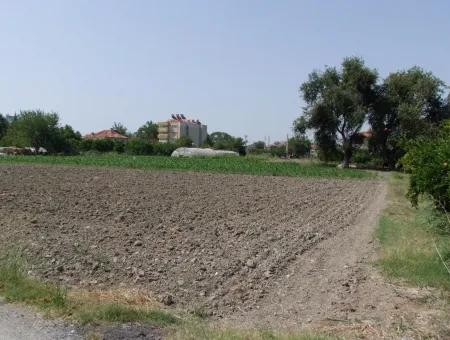 Land-Handlung Zum Verkauf Zum Verkauf In Oriya Yerbele 750M20