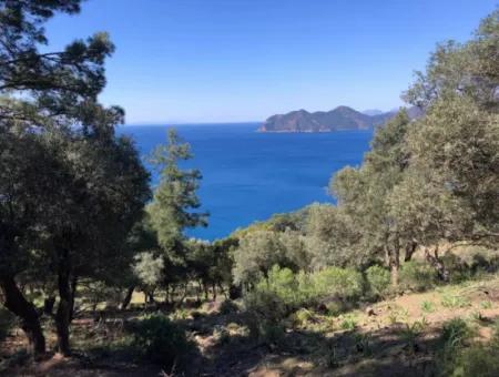 Grundstück Zum Verkauf Mit Meerblick In Çandir