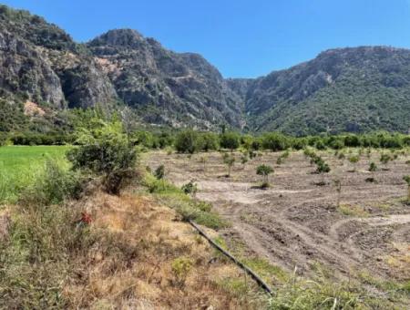 Okçular Land Zum Verkauf In Marmarlı 6500M2