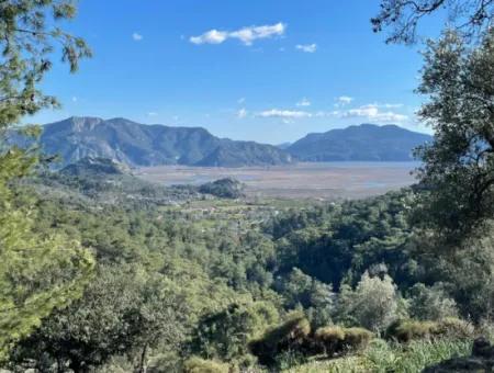 4000M2 Feld Zum Verkauf Mit Seeblick In Çandir