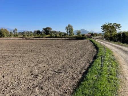 6254M2 Feld Zum Verkauf In Der Nähe Von Dalyan In Eskiköy