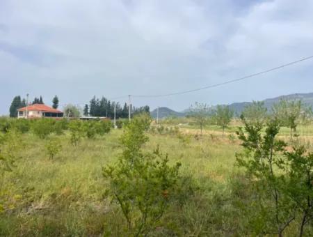 Feld Zu Verkaufen 6500M2 In Dalyan