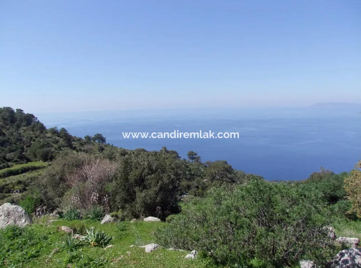 Land For Sale In Faralya With Full Sea View For Sale