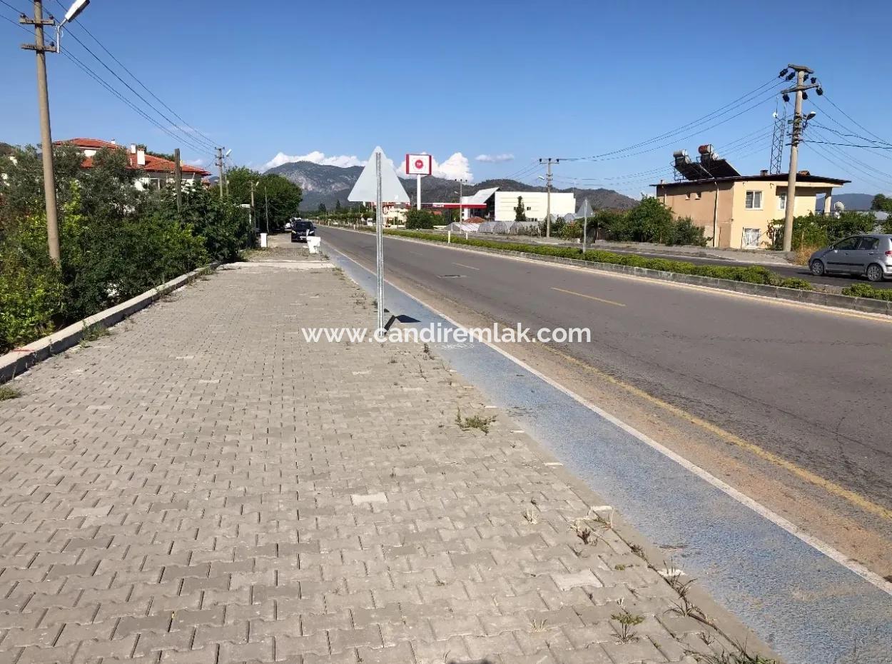 Oriya 560 560 Sq Ft Plot For Sale Commercial Land Main Road For Sale Eksiliyurt Zero