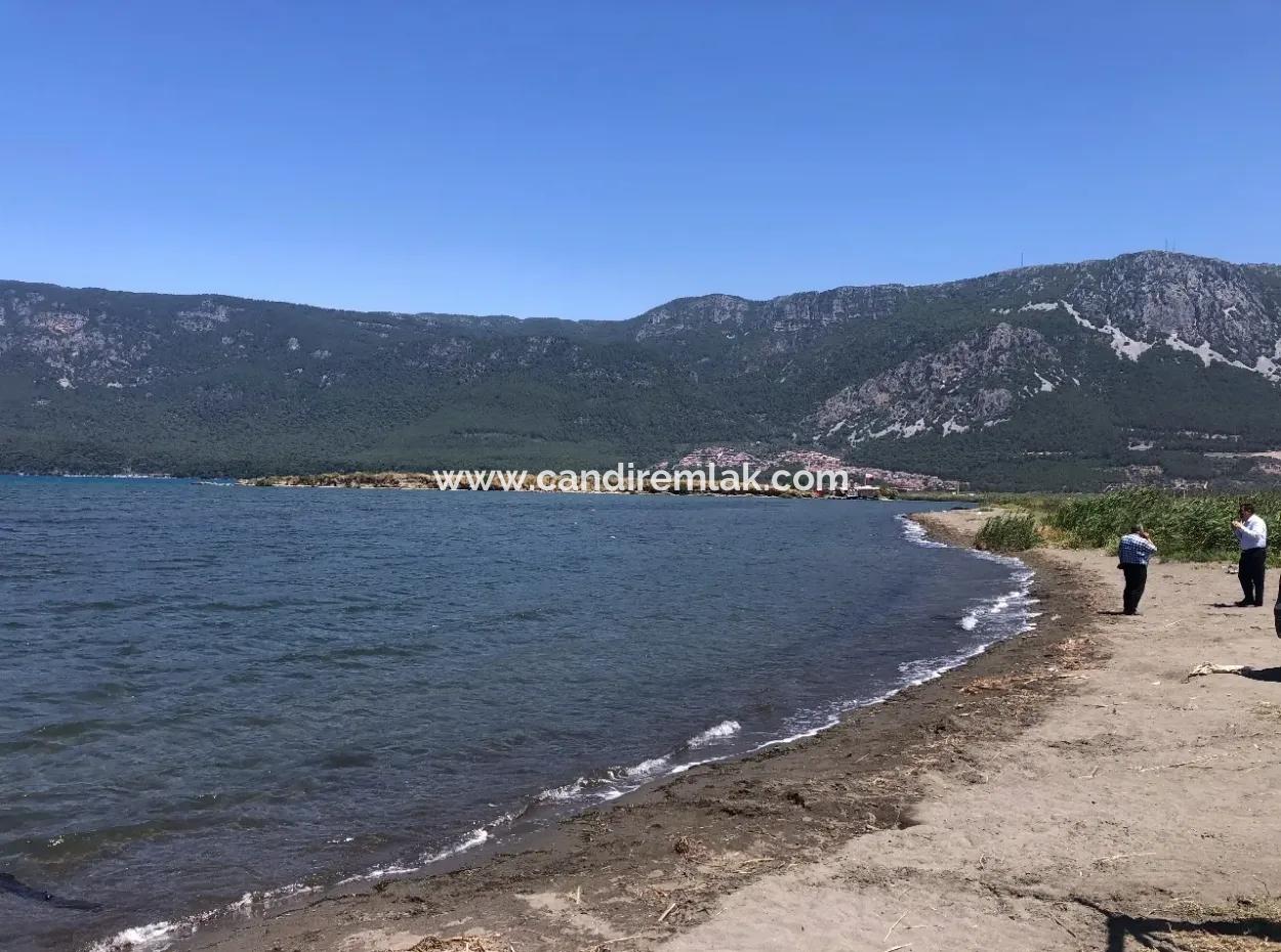 Garden For Sale In Gokce Akyaka, Near The Sea, A 38,000M2 Plot For Sale