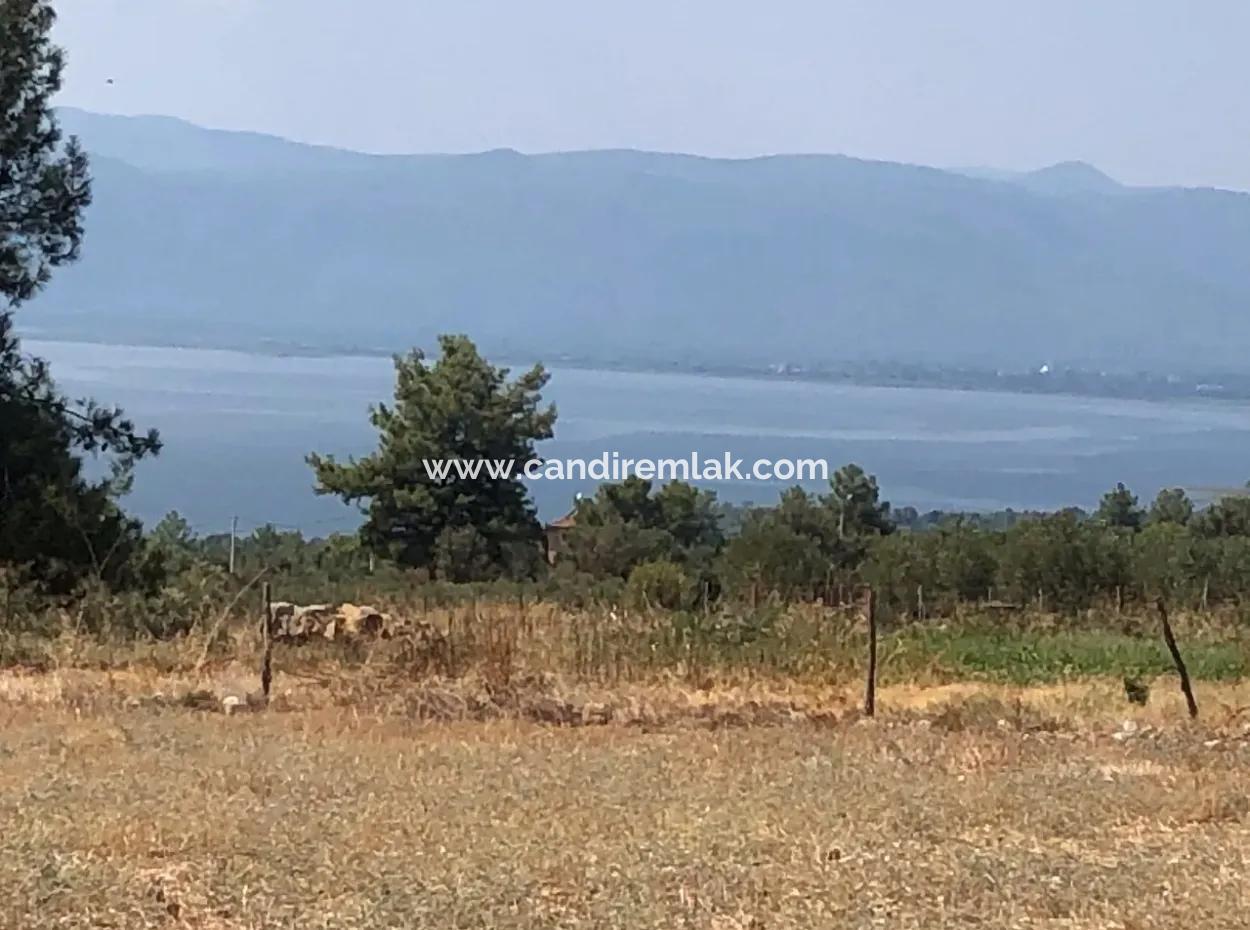 11.227M2 Land For Sale With Lake Views In Köyceğiz Zeytinalanı