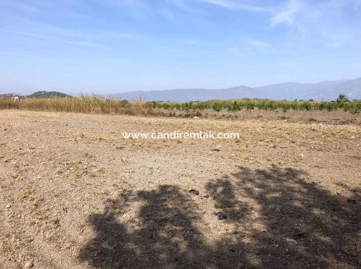 Land For Sale In Esköy 8500M2 Field Land For Sale