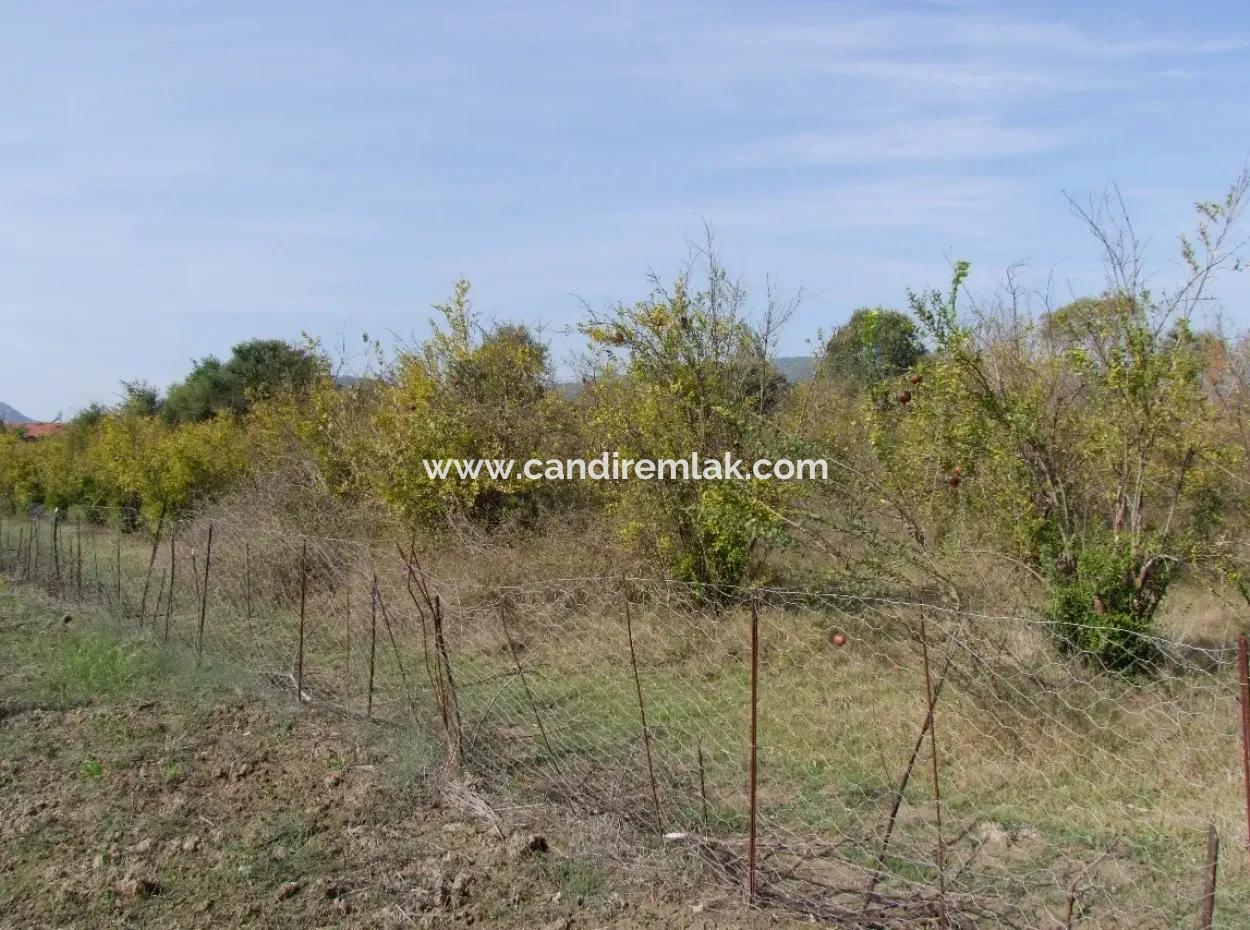 Güzelyurt Land For Sale Village Built 6670M2 Land For Sale