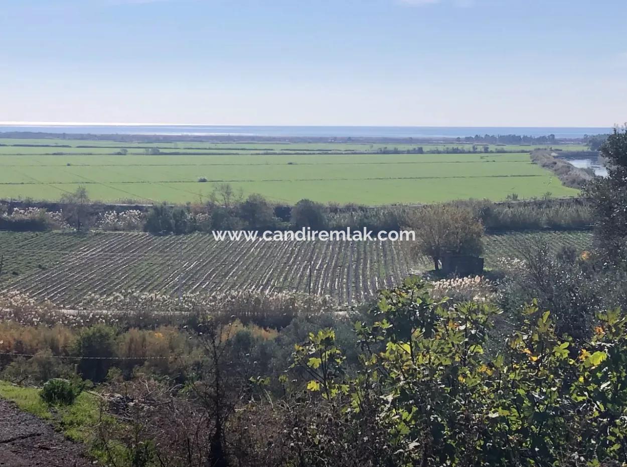 Land For Sale In Sarıgermede 30,000M2 Land For Sale With Sea View