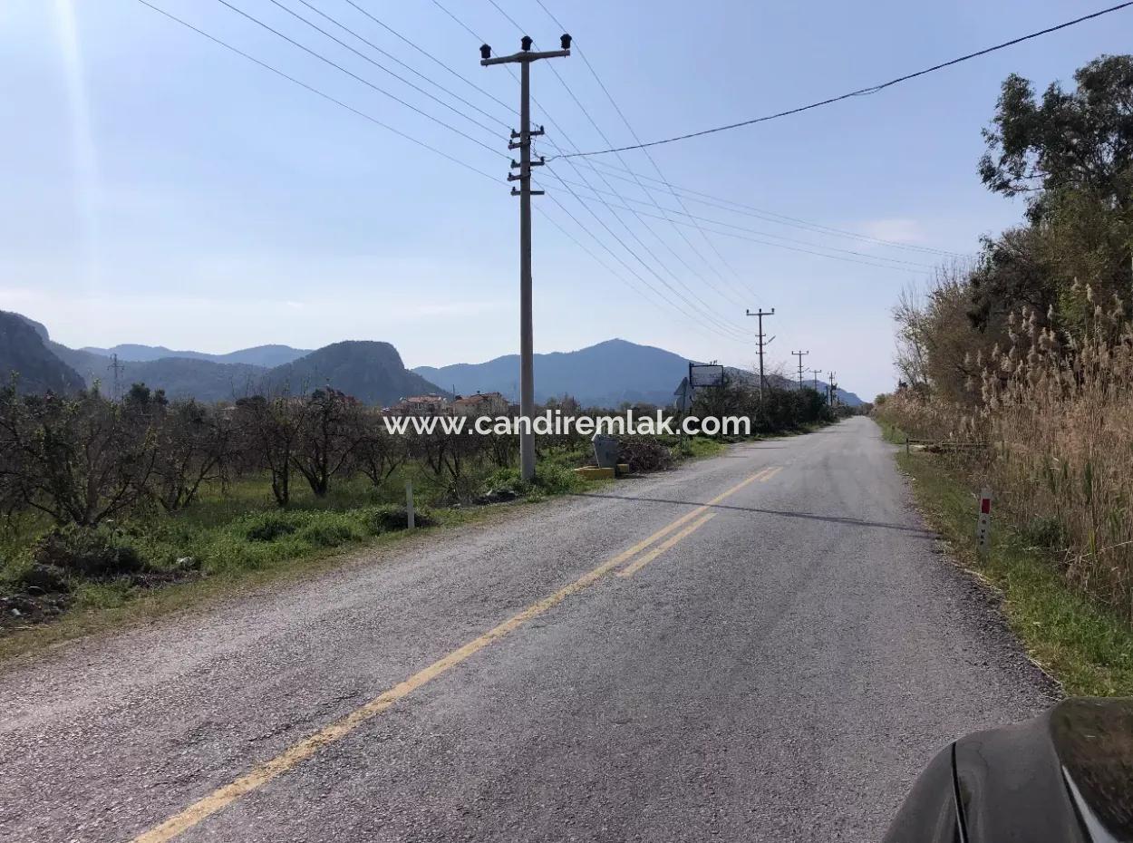 5500M2 Land For Sale In Dalyan