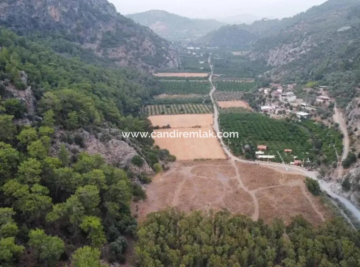 3578M2 Field For Sale On The Road Of Aşı Koyu In Mergenlide