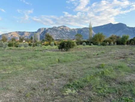 7,450M2 Land For Sale Close To The Center Of Dalyan