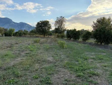 7,450M2 Land For Sale Close To The Center Of Dalyan