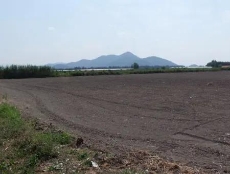 Farm For Sale In Dalyan Eskikoy Eskikoy Oriya 14,900M2 Plot For Sale Field