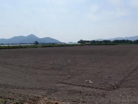 Farm For Sale In Dalyan Eskikoy Eskikoy Oriya 14,900M2 Plot For Sale Field