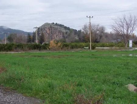 Gulpinar Dalyan Dalyan For Sale In 1002M2 Plot For Sale For Sale Cornerstone