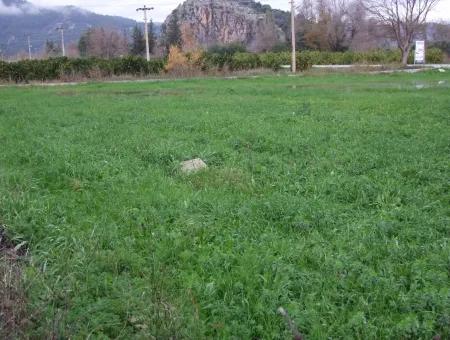 Gulpinar Dalyan Dalyan For Sale In 1002M2 Plot For Sale For Sale Cornerstone