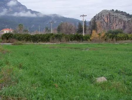 Gulpinar Dalyan Dalyan For Sale In 1002M2 Plot For Sale For Sale Cornerstone