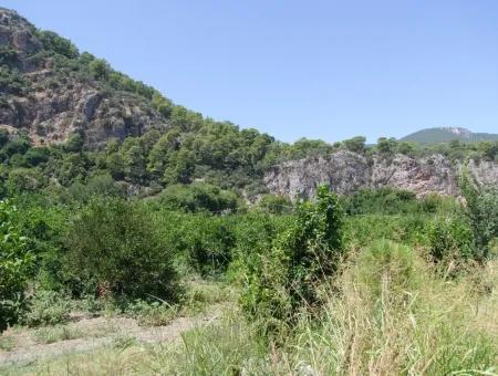 In Dalyan Plot For Sale In Channel Zero