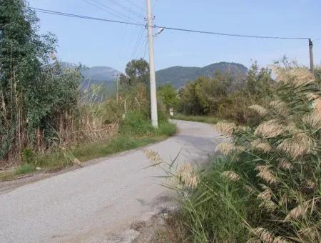 For Sale Land In Dalyan For Sale Dalyan Channel Zero