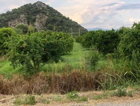 722M2 Plot For Sale In Dalyan Gülpınar For Sale