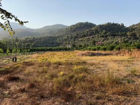 2300M2 Land For Sale Near The Center Of The Land For Sale