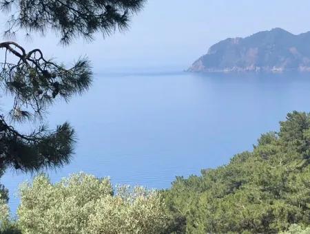 7034M2 Field For Sale With Sea View In Çandir