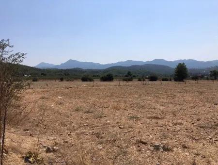 11.227M2 Land For Sale With Lake Views In Köyceğiz Zeytinalanı