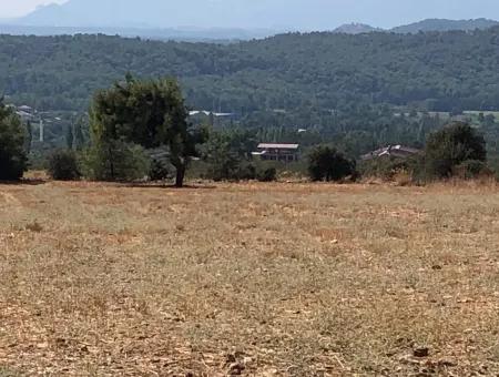 11.227M2 Land For Sale With Lake Views In Köyceğiz Zeytinalanı